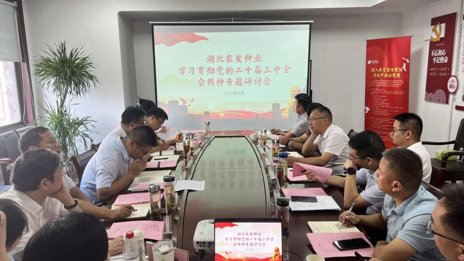 hahabet星辰大海官方网站-妄想从这里起头
