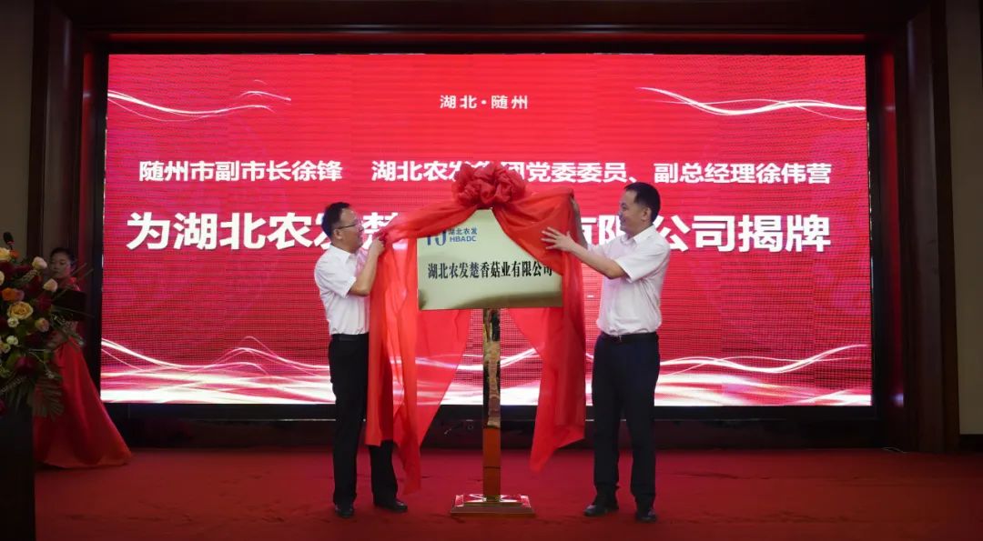 640 (11).jpg hahabet星辰大海官方网站-妄想从这里起头