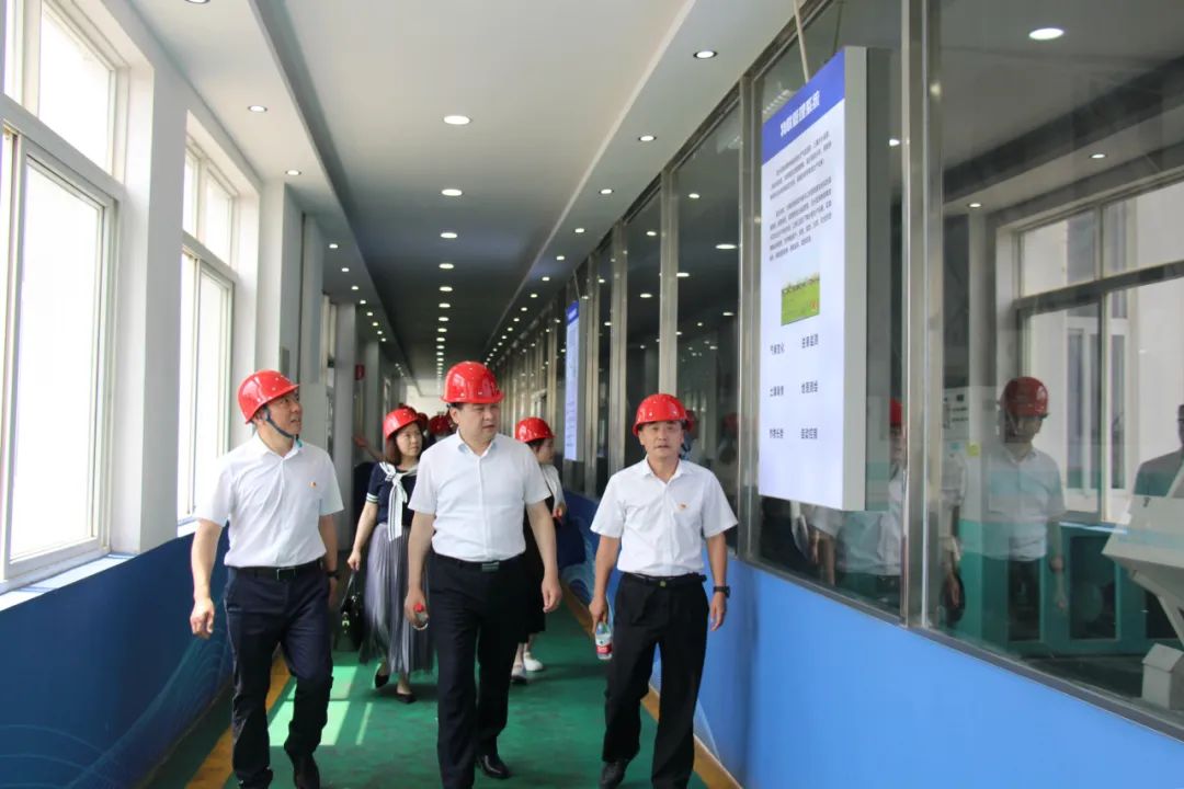 640 (6).jpg hahabet星辰大海官方网站-妄想从这里起头