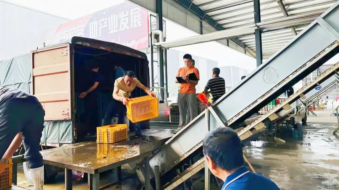 640 (8).jpg hahabet星辰大海官方网站-妄想从这里起头