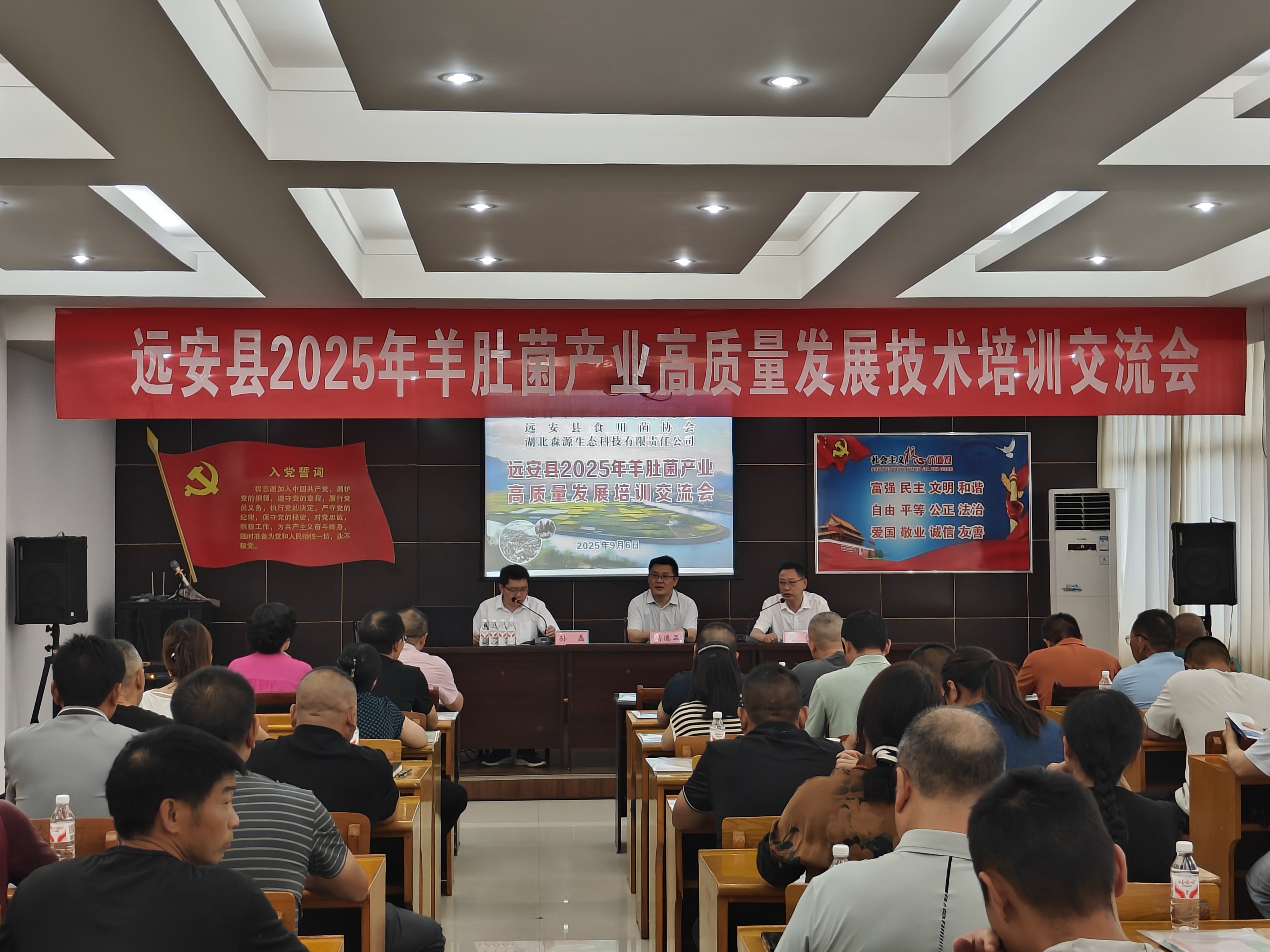 hahabet星辰大海官方网站-妄想从这里起头