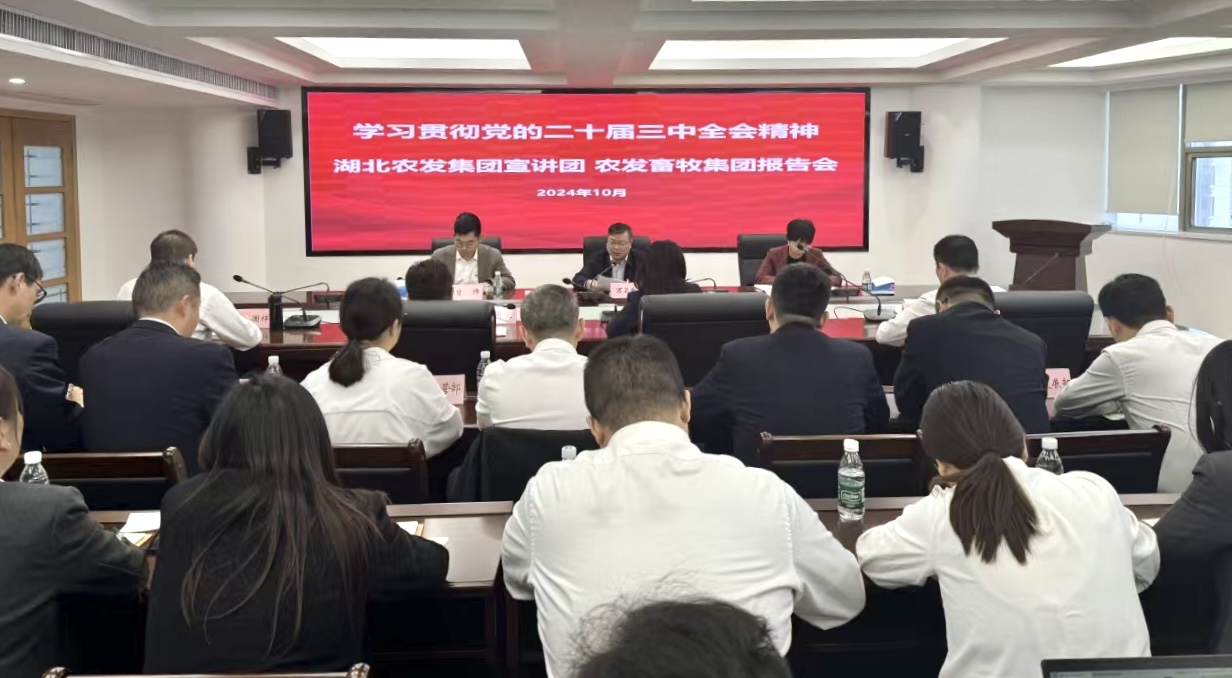 hahabet星辰大海官方网站-妄想从这里起头