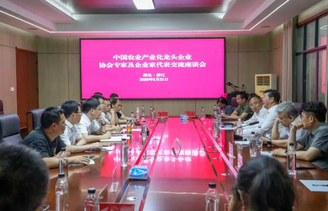 hahabet星辰大海官方网站-妄想从这里起头